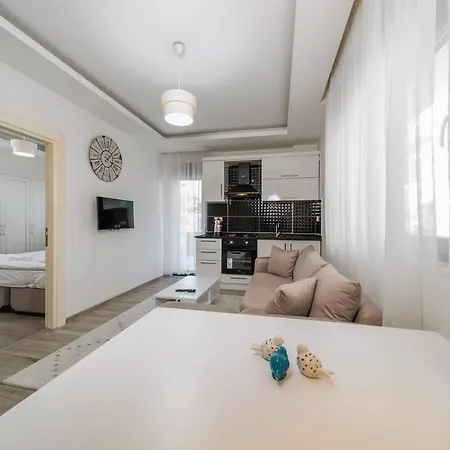 Comfy Flat With Central Location In Kepez Antalya